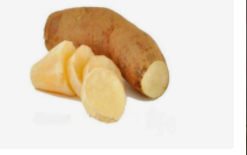 发芽的雪莲果还能吃吗