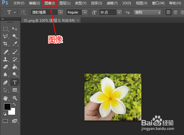 怎么把照片变大