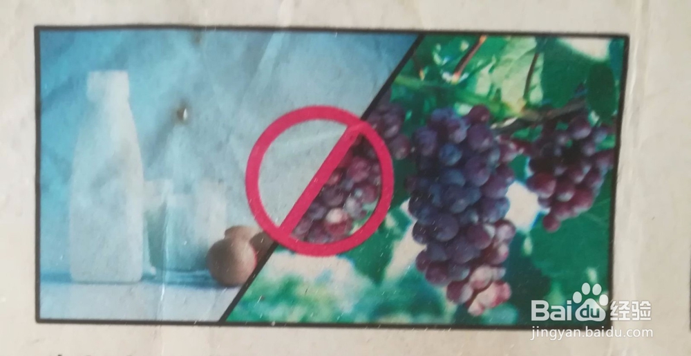有哪些食物不能一块吃