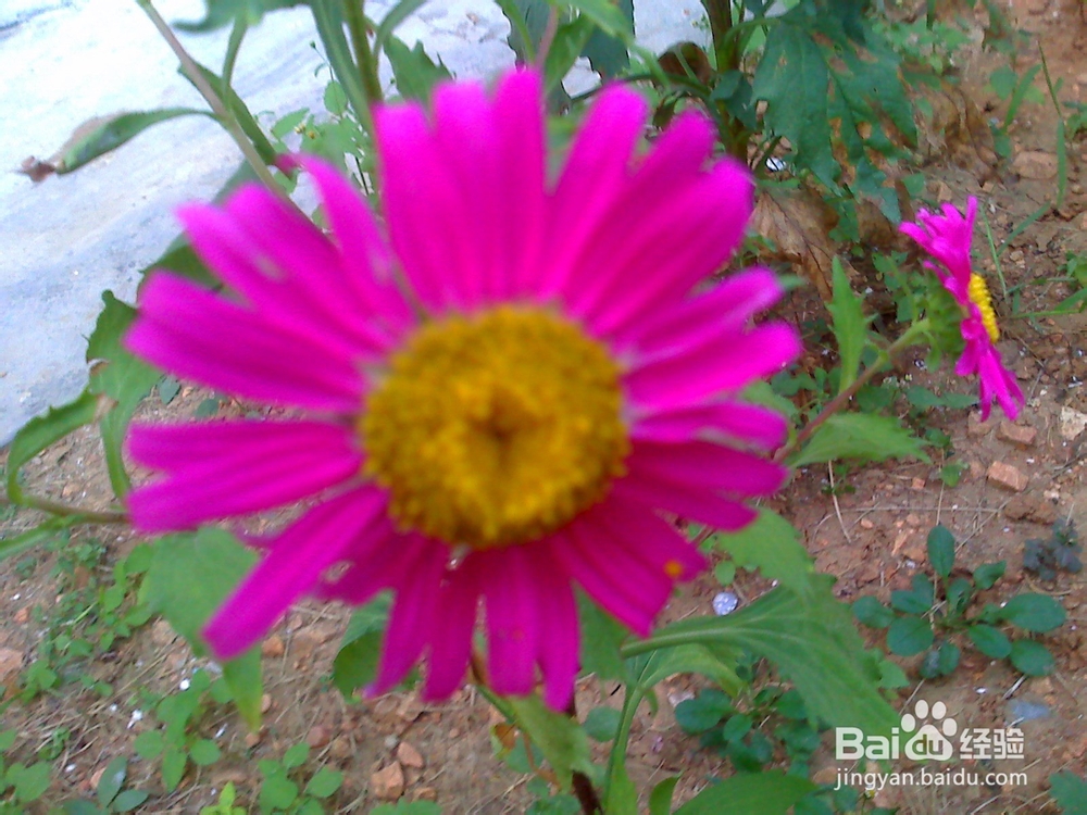 孩子怎样来控制自己珍惜时间