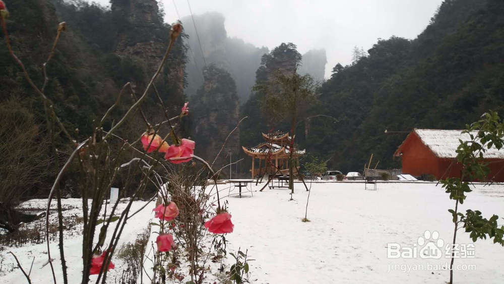 精准扶贫农家欢喜村民快乐记实