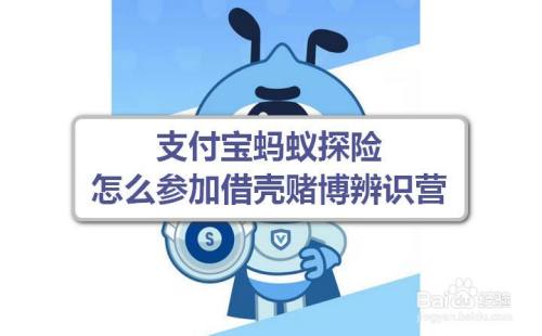 支付宝蚂蚁探险怎么参加借壳赌博辨识营