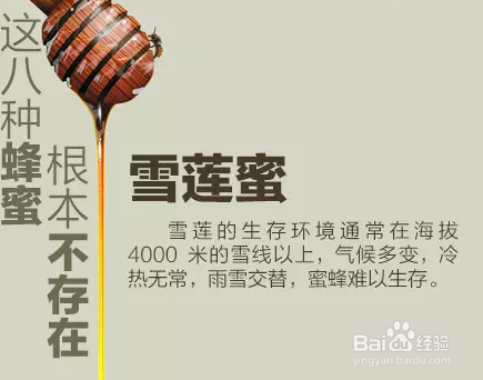 这八种蜂蜜根本不存在！