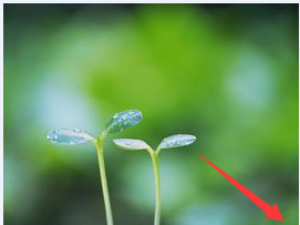 牛皮癣要怎么预防好呢