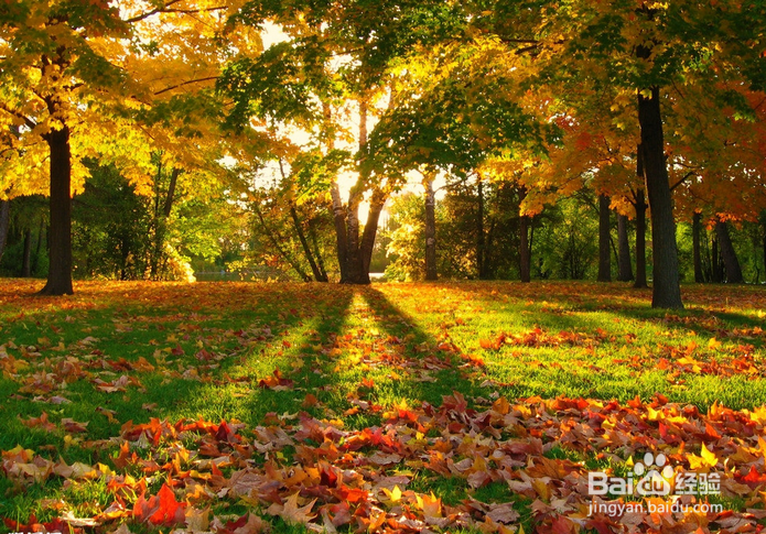 美国​皮玛社区学院申请情况