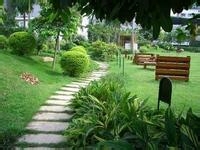 买房子时的绿地率怎么算？