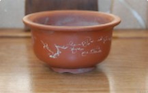 小学生种花生的步骤