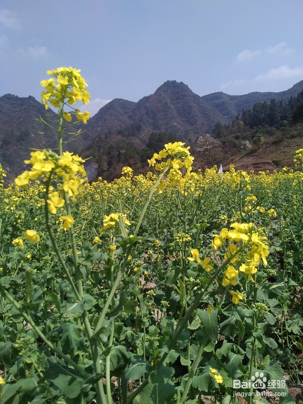 自学能力的培养之路