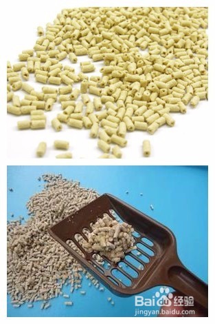 如何挑选适合自己的猫砂