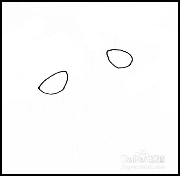 怎样画简笔画（花卉）：[10]康乃馨