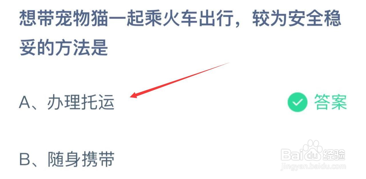 想带宠物猫一起乘火车出行，较为安全稳妥的方法