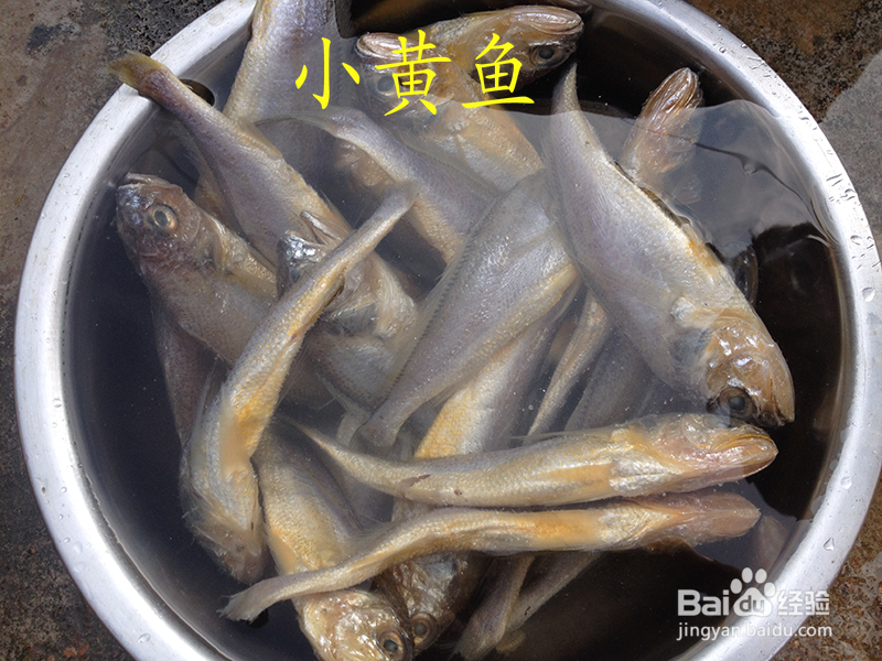 面拖小黄鱼的做法