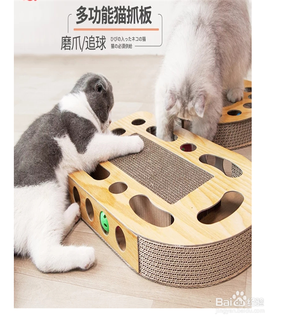 如何选购猫用抓板