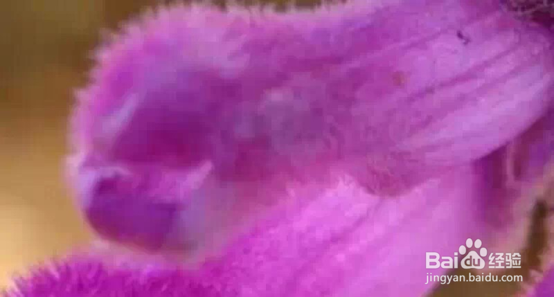 五大公认减脂肪运动