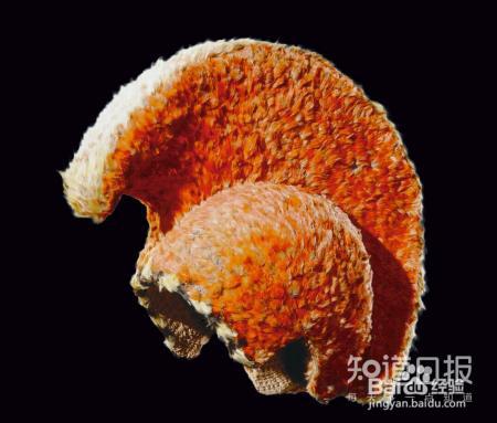 人类早期的历史没有文字,那通过什么方法来考究?