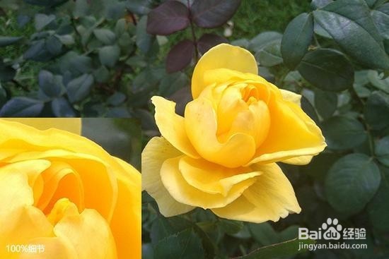 小米史上最酷的手机 小米MIX概念机评测