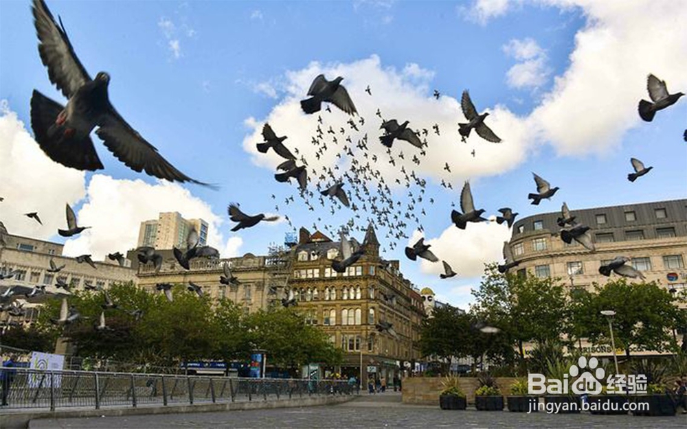 英国曼彻斯特旅行攻略