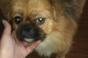 认识结膜炎的含义