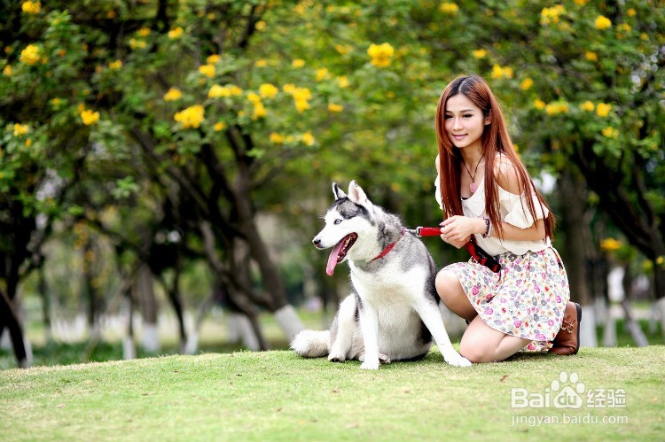 如何提高自己的生活品质