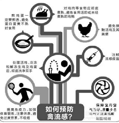 禽流感H7N9相关知识