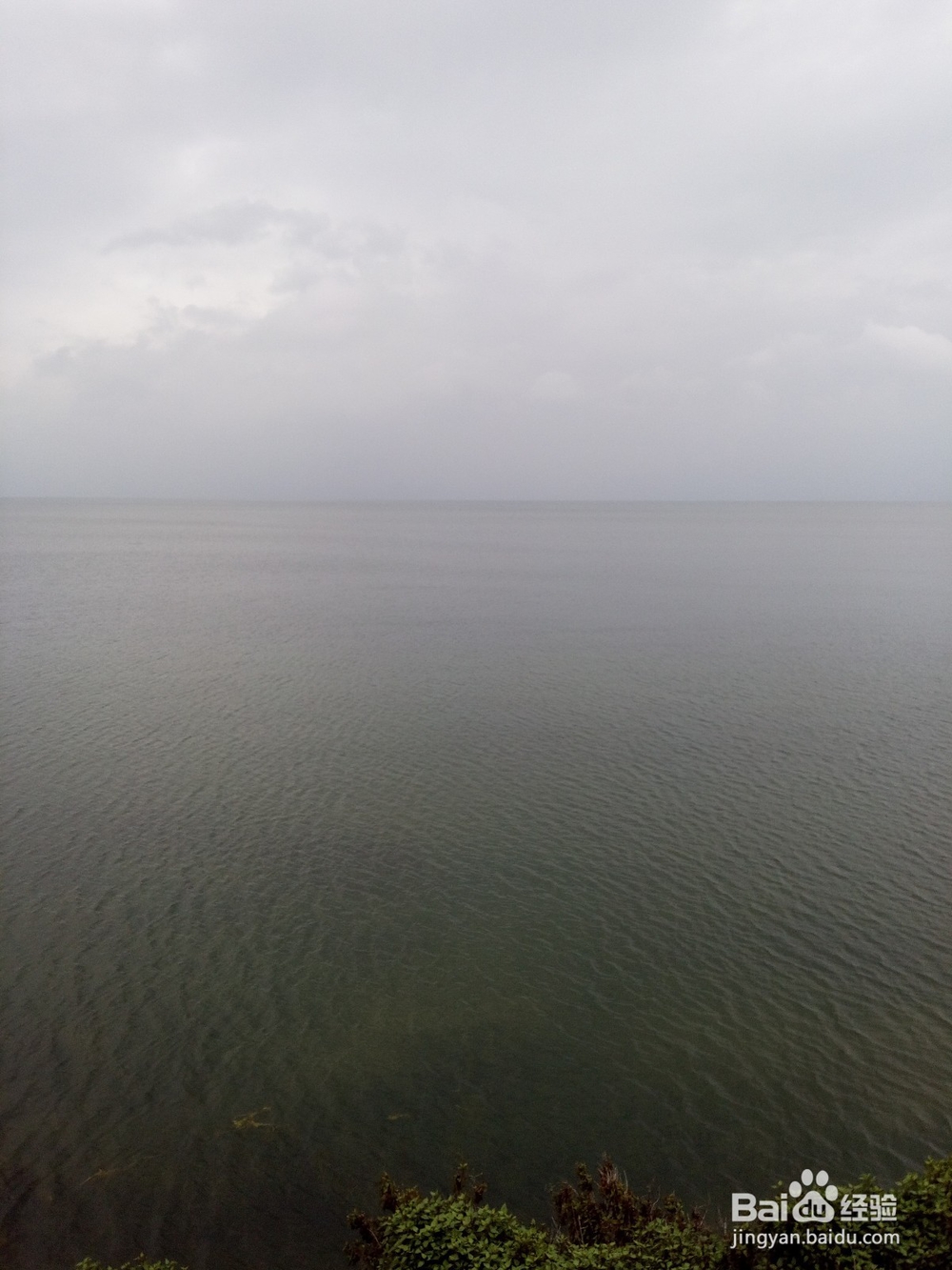 云南最美玉溪抚仙湖之樱花谷湿地公园情侣约会旅