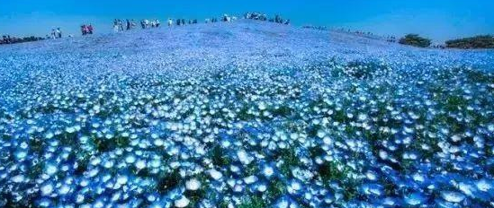 拍出好片的9个黄金法则