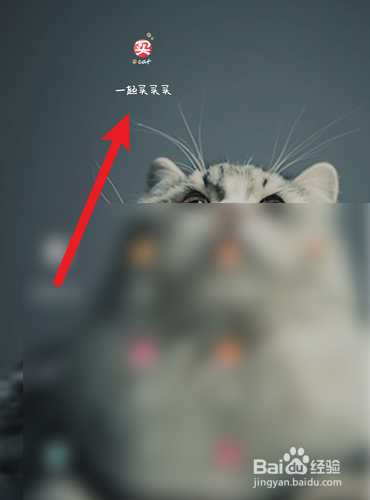一起买买买如何查找我的收藏