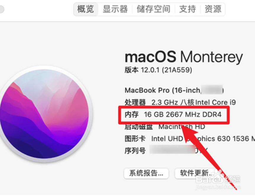 苹果电脑内存在哪里看