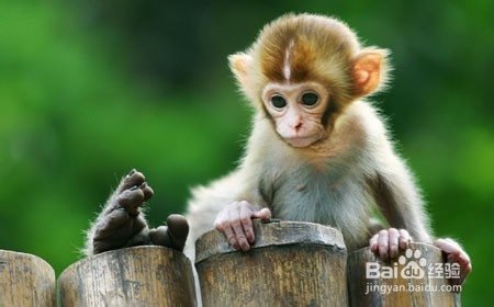 晋中到张家界自驾游