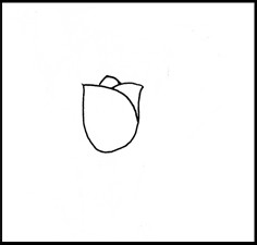 怎样画简笔画（花卉）：[1]郁金香