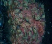 羊肉臊子面的做法