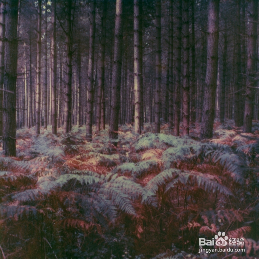 股票行业分析——农业分析上篇