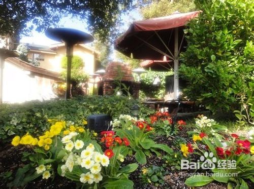 美国的丽江：卡梅尔的景点观赏