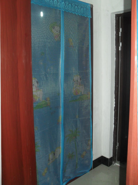 【防蚊虫】如何驱赶并彻底消灭苍蝇