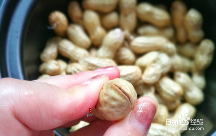 家常菜:盐水煮花生
