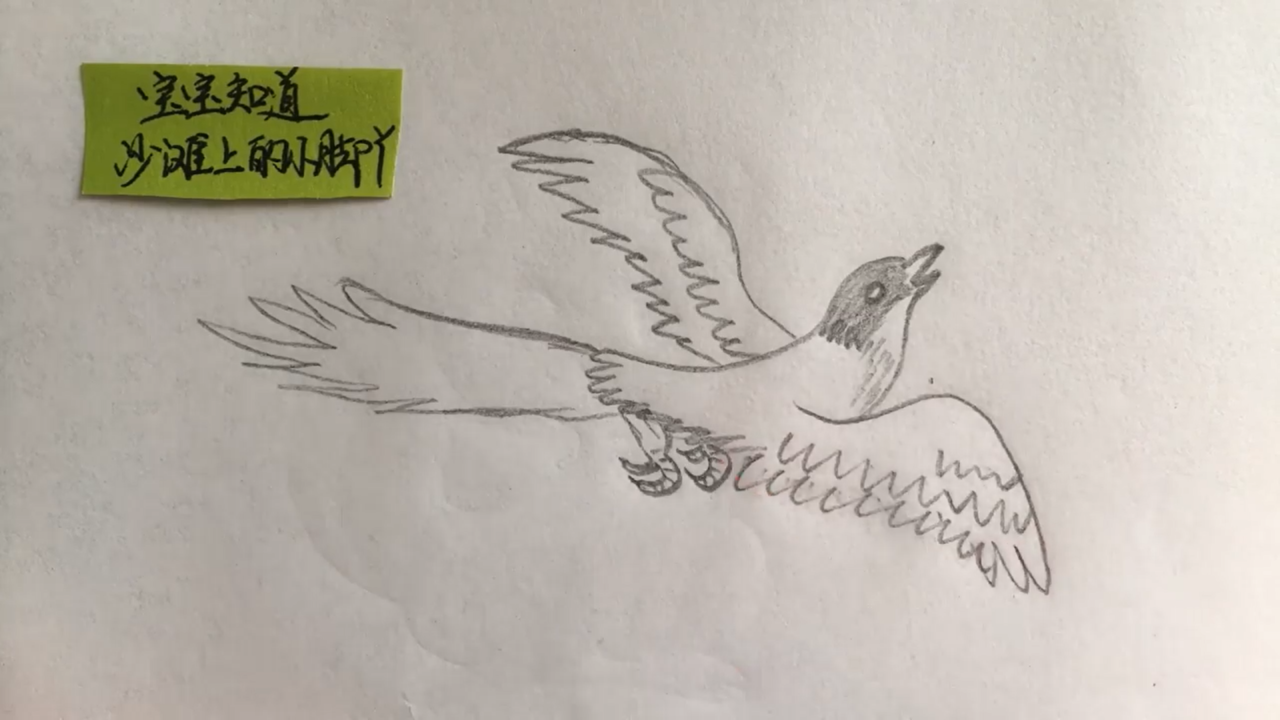 长尾巴鸟简笔画怎么画