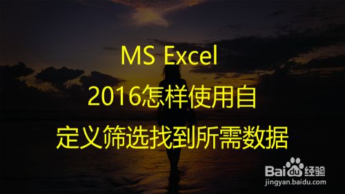 MS Excel 2016怎样使用自定义筛选找到所需数据