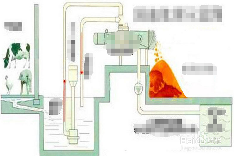 如何利用天利固液分离机TL-800处理猪粪？