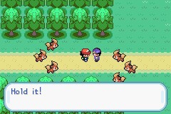 口袋妖怪圣灰攻略图片5