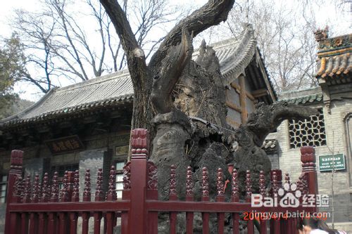 太原晋祠公园 l 旅游攻略