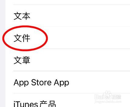 iPhone14如何在合并后文本这里设置为文件类型