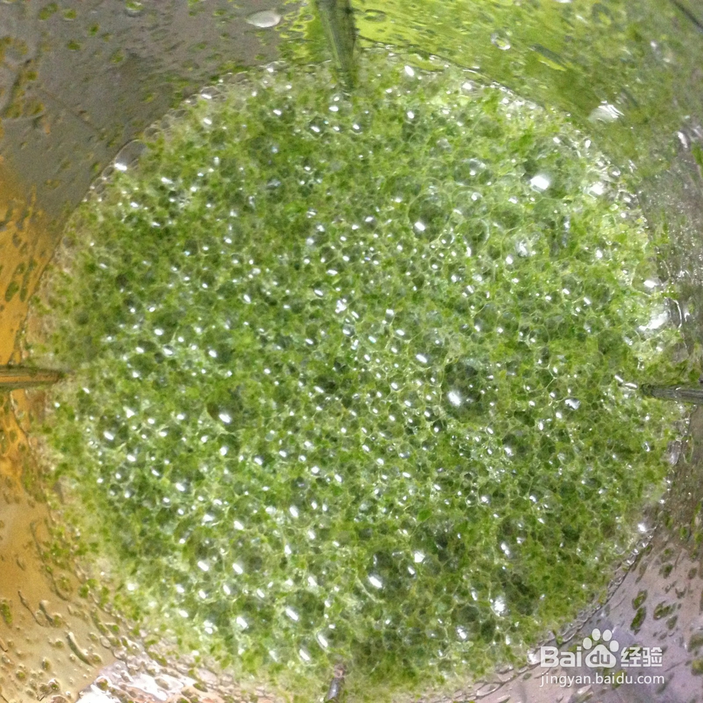 自制各种香煎薄撑