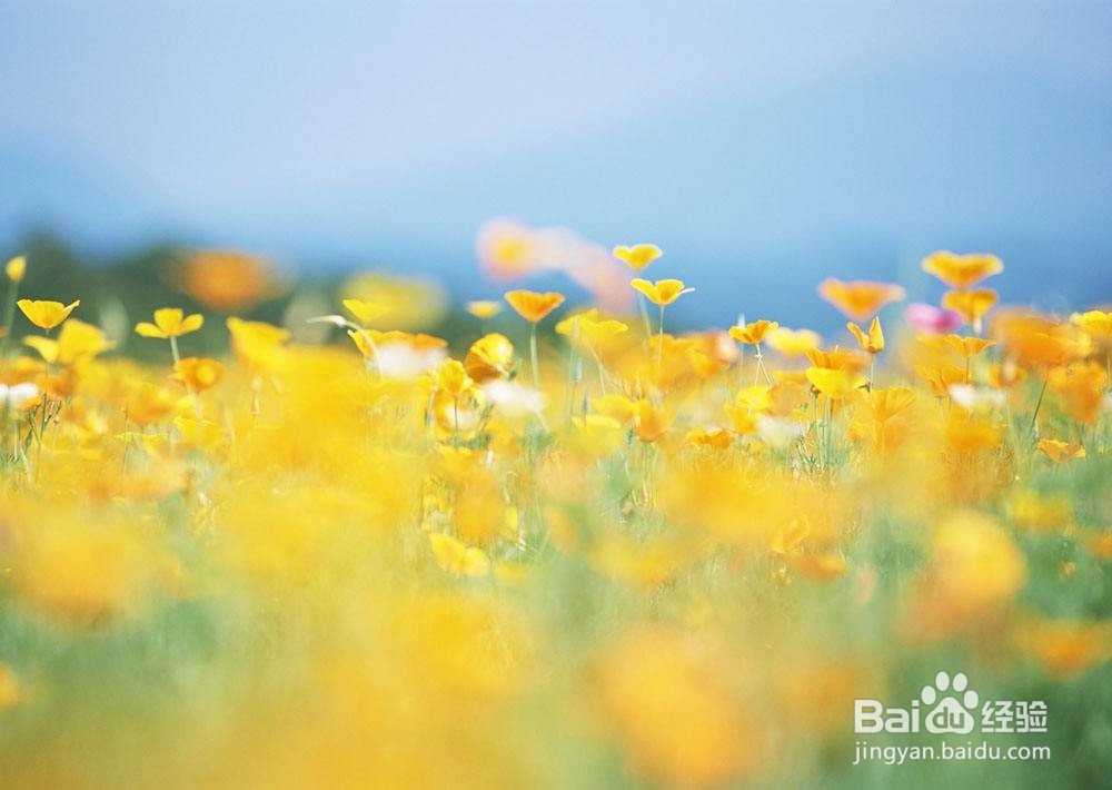 如何辨别你喜欢的他是否也正好喜欢你