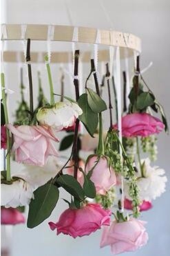 玫瑰花漂亮的花环 氛围马上变欢乐了！