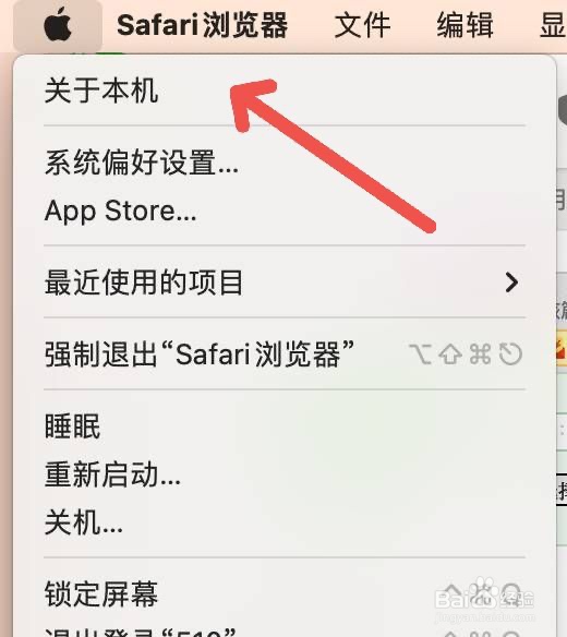 苹果笔记本怎么看内存