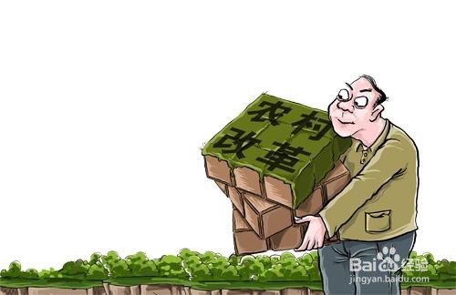 成立村级经济股份合作社有哪些好处?