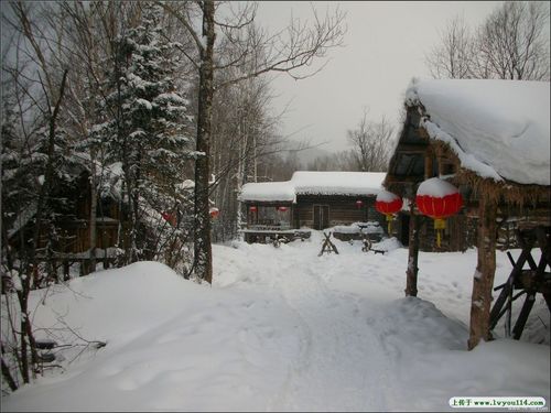 （旅游攻略）亲爱的，我们一起去蜜月旅行吧