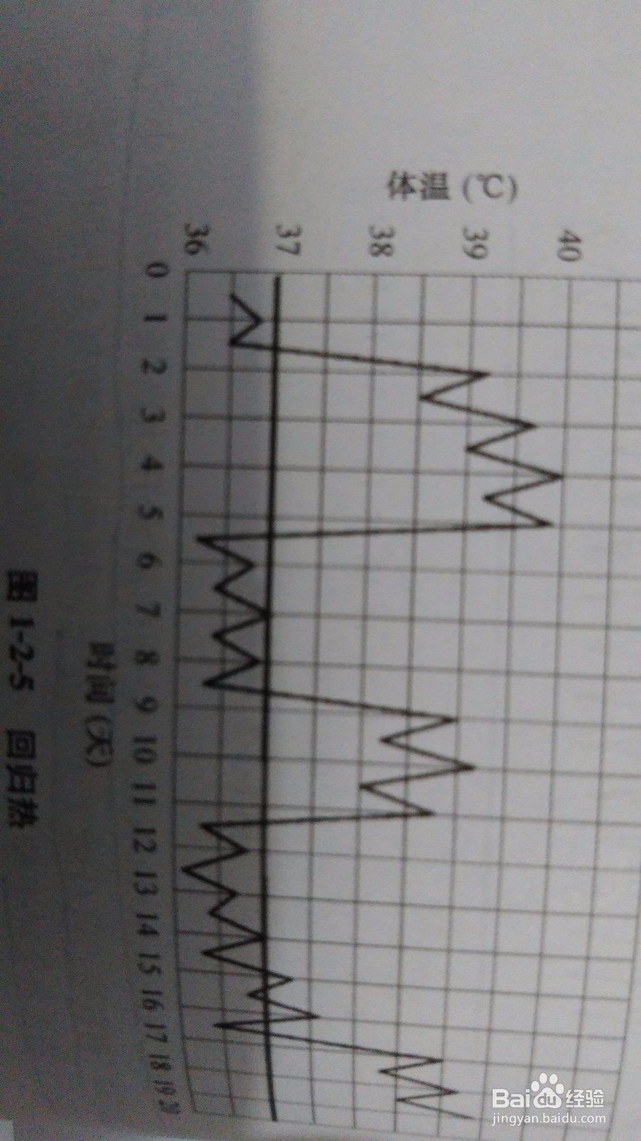 如何分辨发热类型