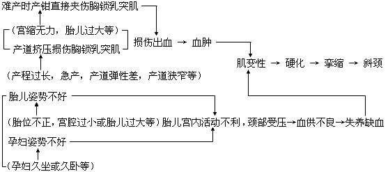 小儿肌性斜颈中医推拿疗法