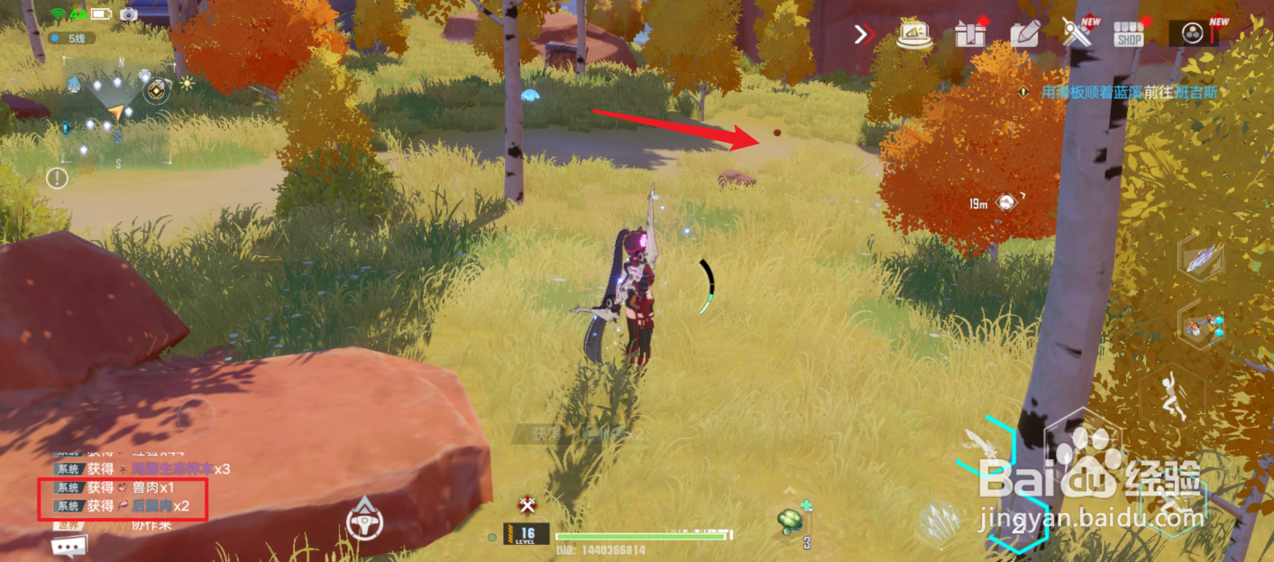 幻塔怎么捕猎野猪